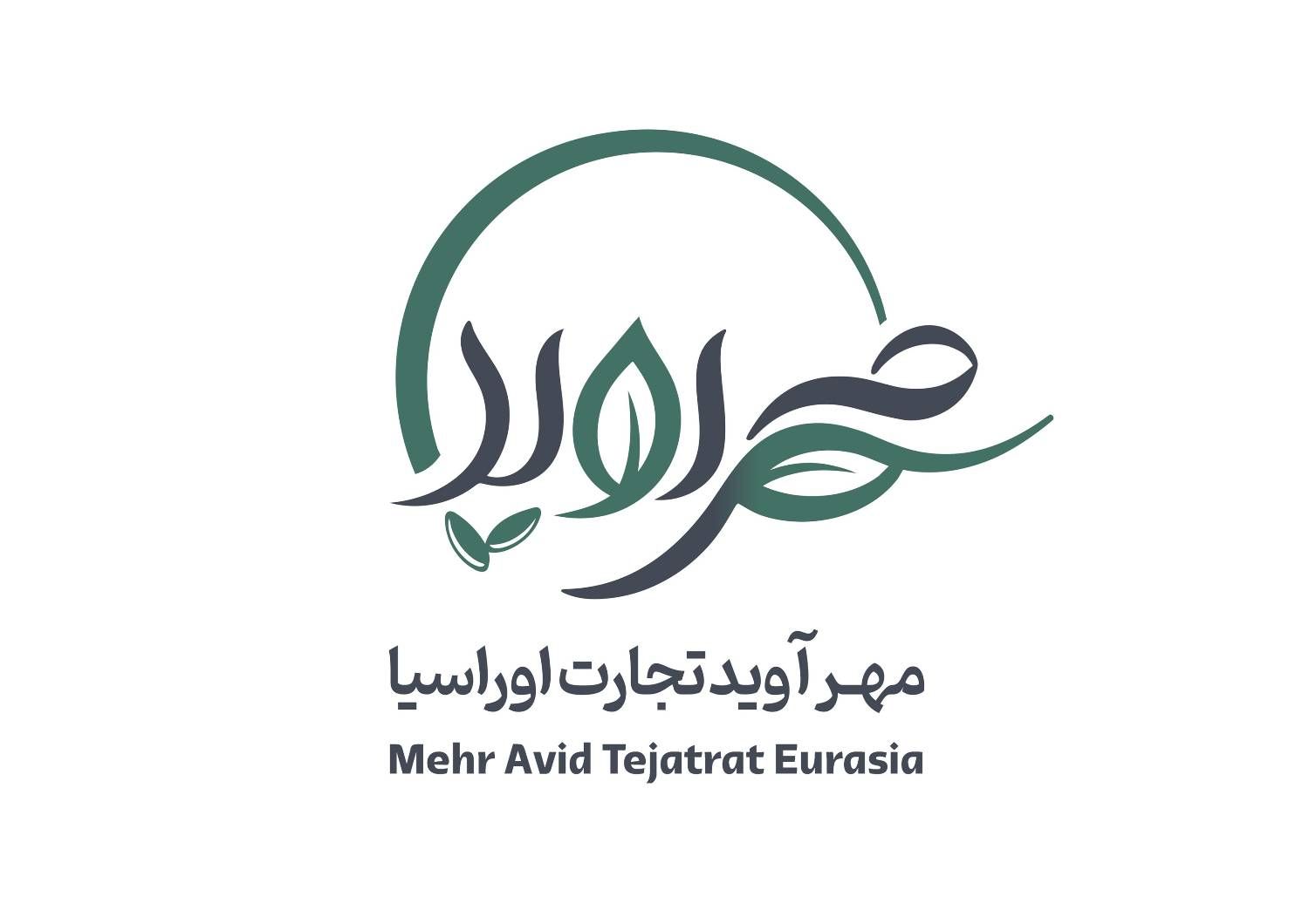 راهنمای تخصصی خرید ذرت دامی؛ مقایسه قیمت محمولههای مهرآوید تجارت